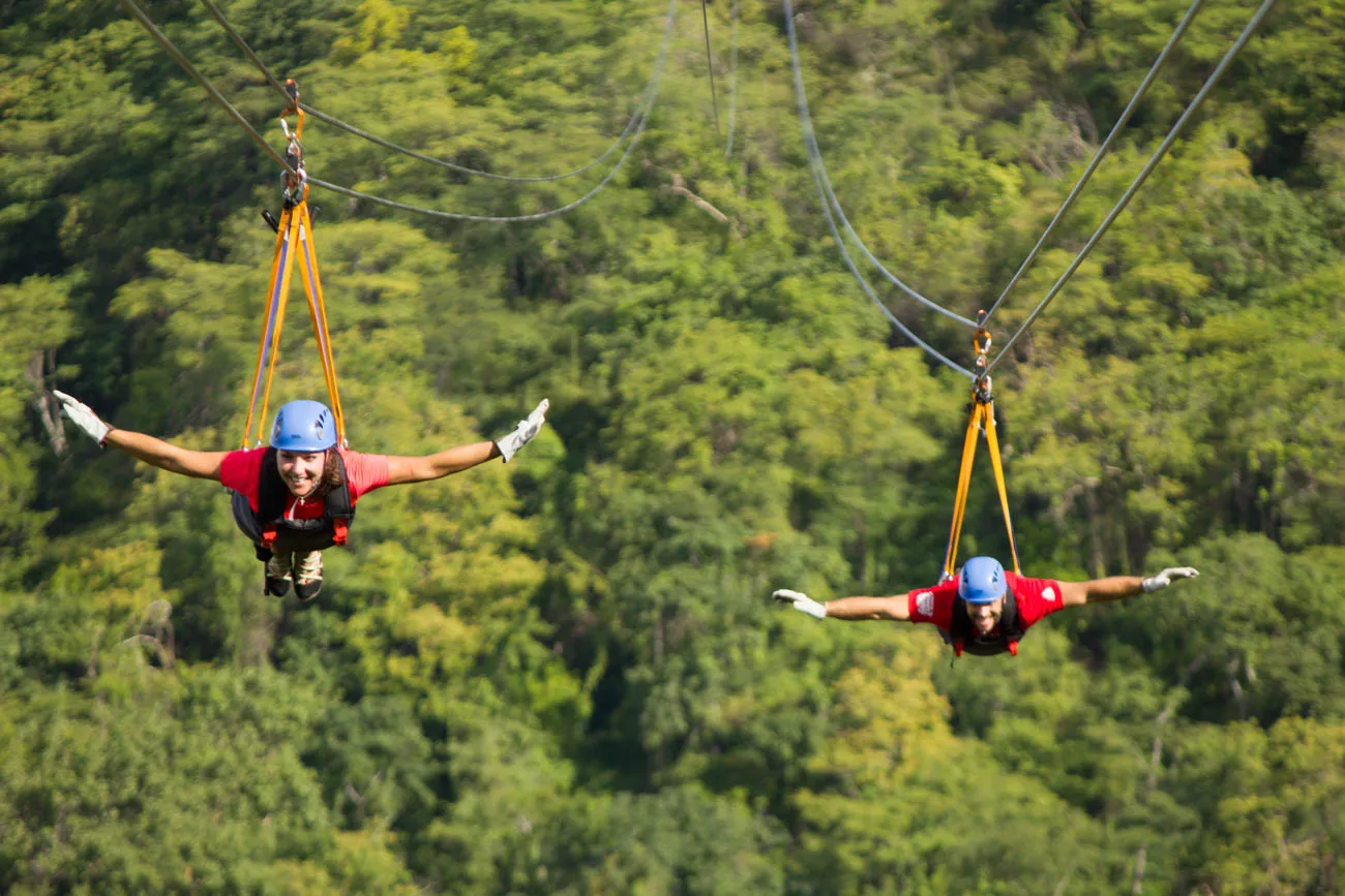 Eco-Adventure